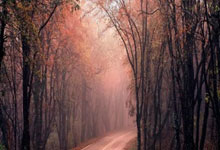 独行侠迎战开拓者争夺胜利晋级