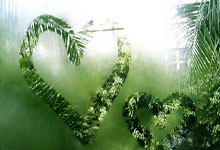 玻利维亚射箭选手实力攀升,力挽狂澜