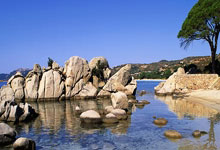 波兰篮球甲级联赛飙分王称霸全场凯旋